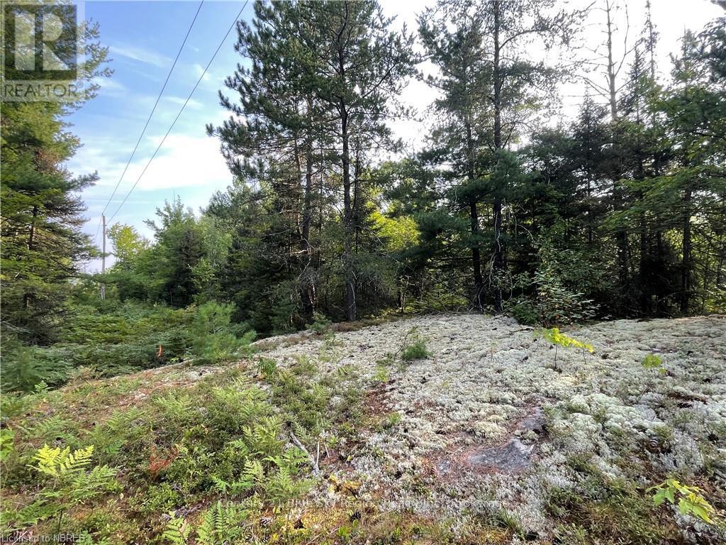 Part Lot 2 Leduc Road, West Nipissing, Ontario  P0H 1M0 - Photo 16 - X10709083