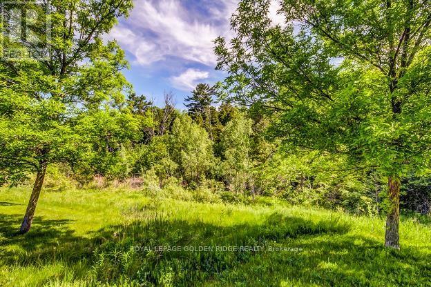 415 Pickering Crescent, Newmarket (Gorham-College Manor), Ontario  L3Y 8G8 - Photo 3 - N12664780