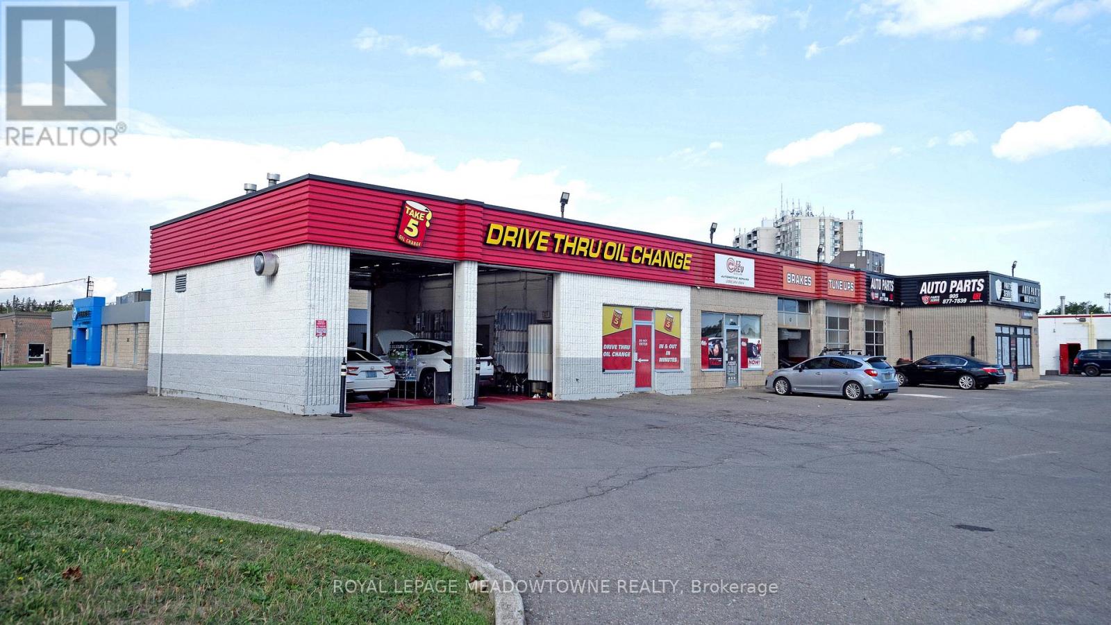 341 Guelph Street, Halton Hills, Ontario  L7G 4B6 - Photo 8 - W12664814