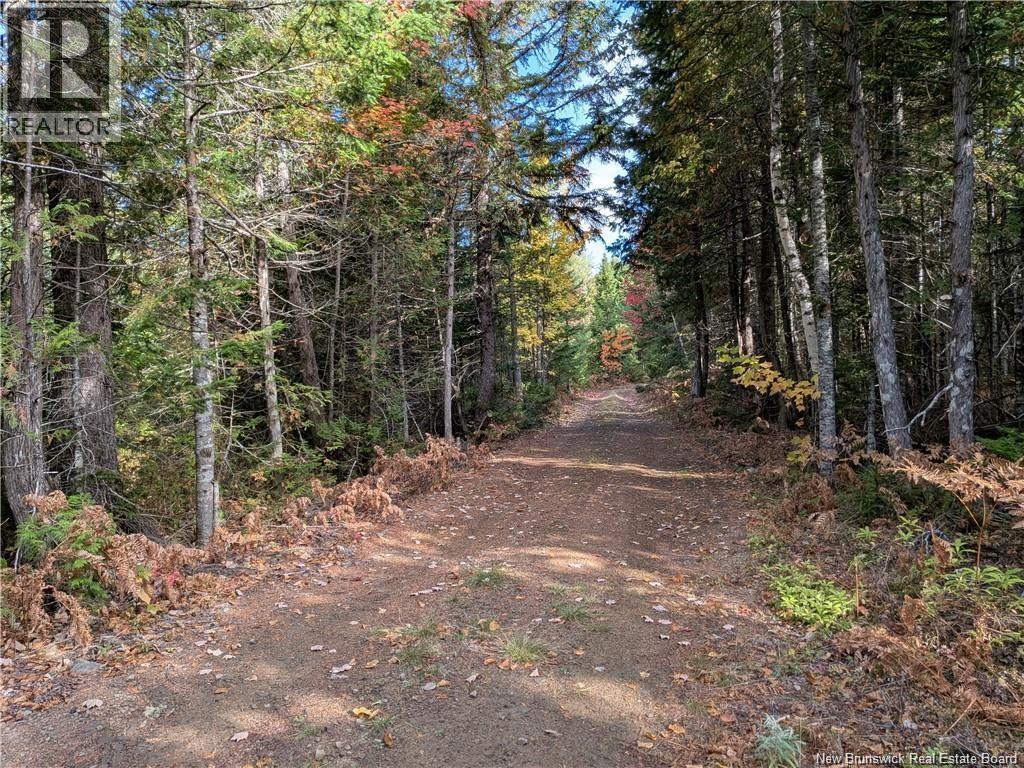 00 Highway 11, Redmondville, New Brunswick  E1N 5C5 - Photo 11 - NB131582