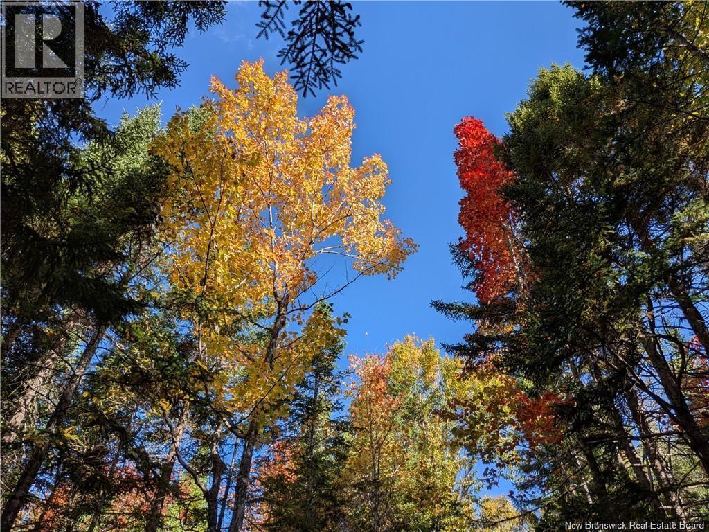 00 Highway 11, Redmondville, New Brunswick  E1N 5C5 - Photo 12 - NB131582