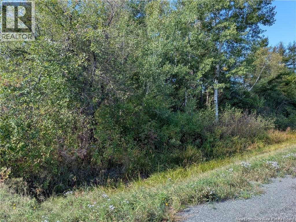 00 Highway 11, Redmondville, New Brunswick  E1N 5C5 - Photo 14 - NB131582