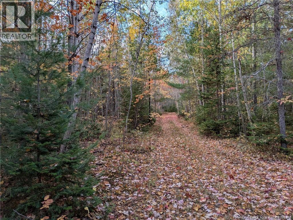 00 Highway 11, Redmondville, New Brunswick  E1N 5C5 - Photo 3 - NB131582