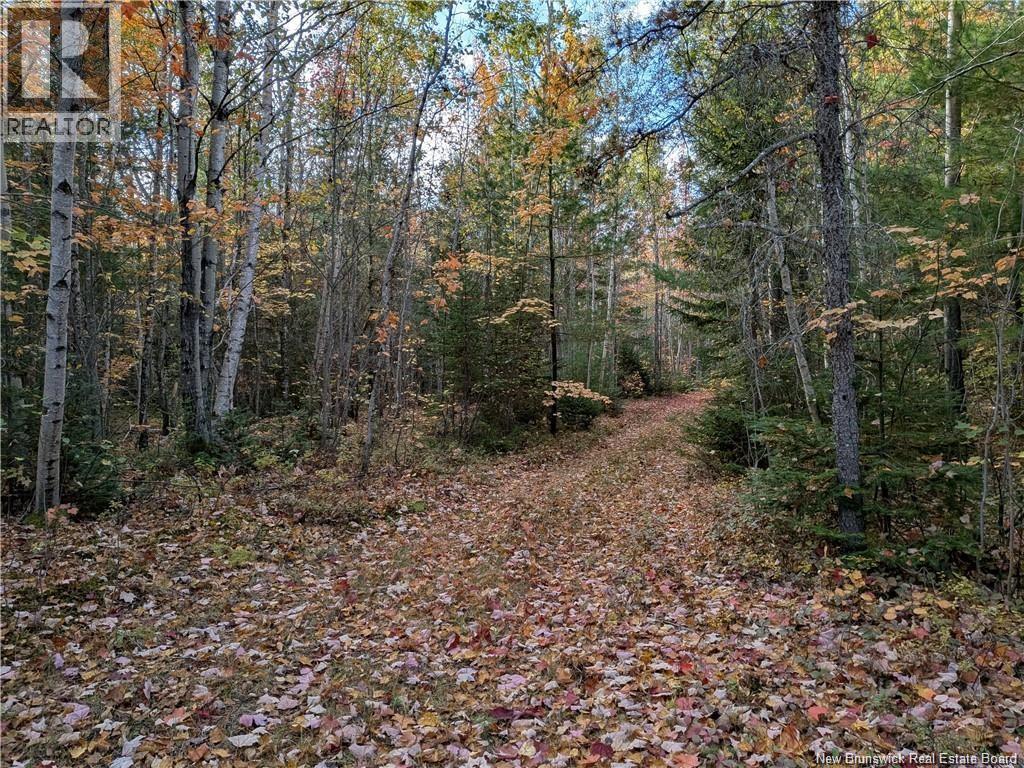 00 Highway 11, Redmondville, New Brunswick  E1N 5C5 - Photo 5 - NB131582