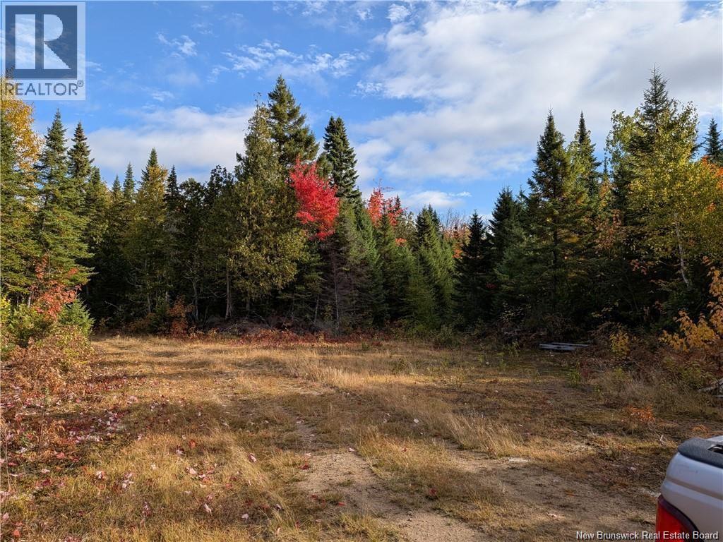 00 Highway 11, Redmondville, New Brunswick  E1N 5C5 - Photo 6 - NB131582
