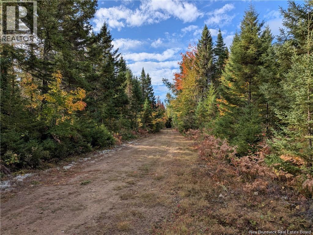 00 Highway 11, Redmondville, New Brunswick  E1N 5C5 - Photo 8 - NB131582