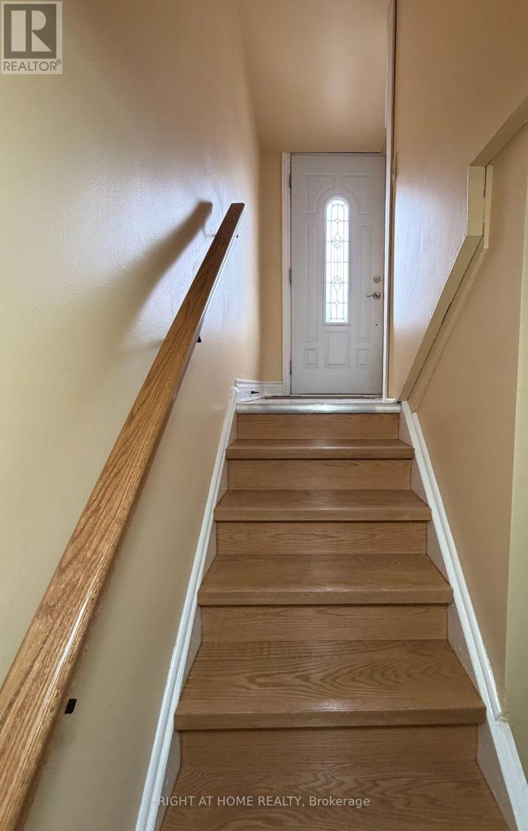 Basement - 75 Crosland Drive, Toronto, Ontario  M1R 4N4 - Photo 9 - E12664938