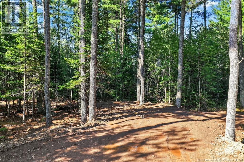 Lot 17-1 Des Pins Street, Aldouane, New Brunswick  E4W 5C1 - Photo 3 - NB131671