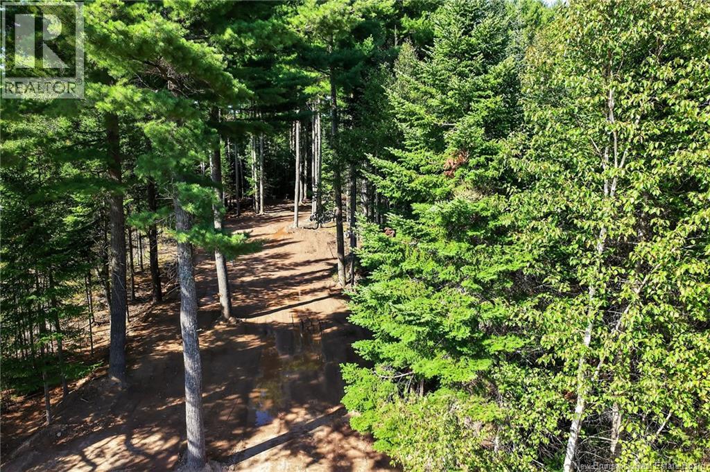 Lot 17-1 Des Pins Street, Aldouane, New Brunswick  E4W 5C1 - Photo 5 - NB131671