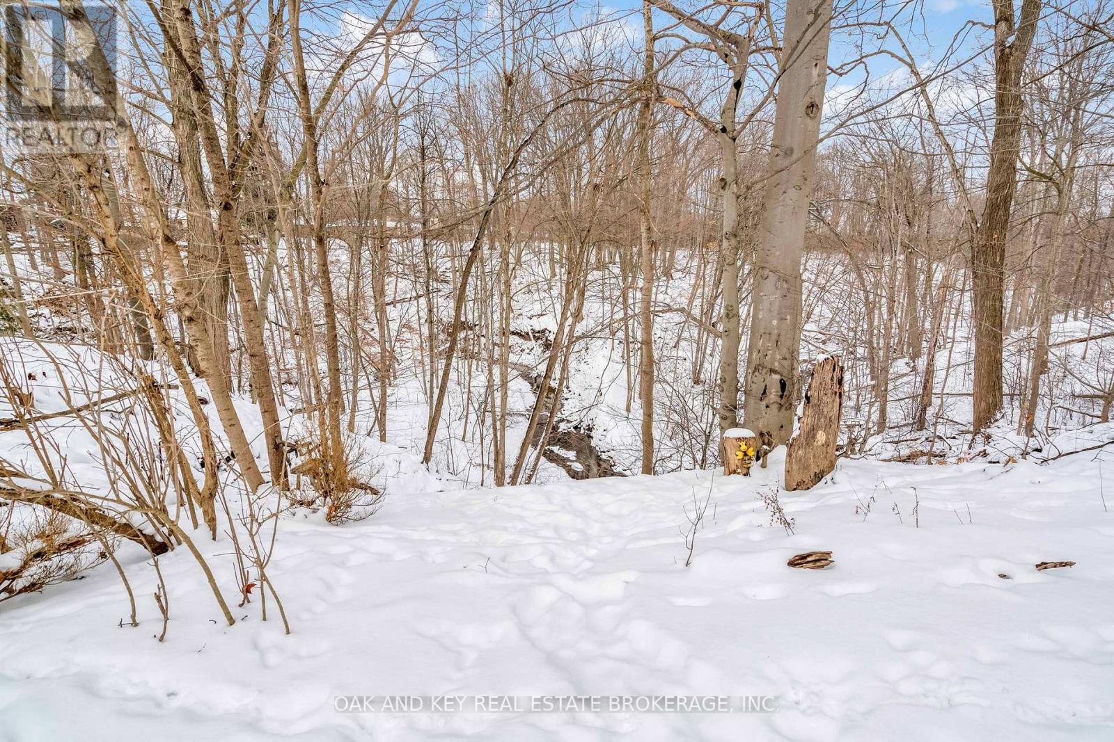 156 Langarth Street W, London South, Ontario  N6J 1P6 - Photo 41 - X12665116