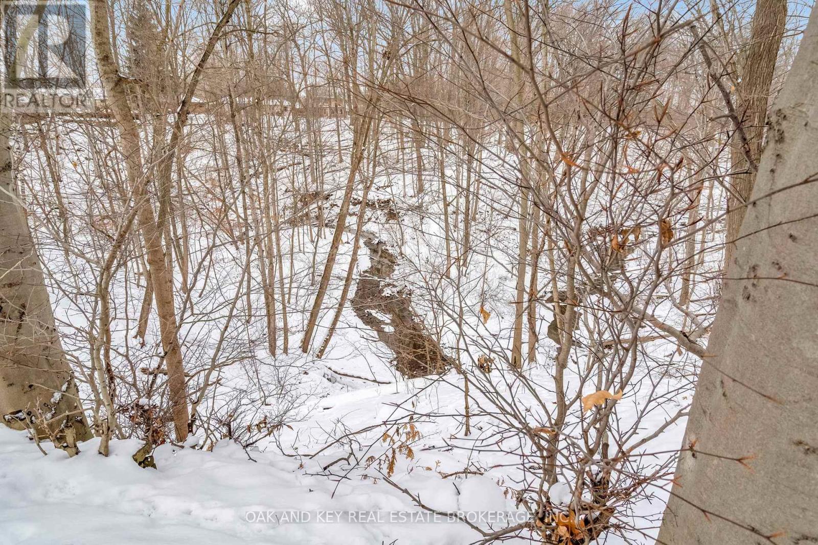 156 Langarth Street W, London South, Ontario  N6J 1P6 - Photo 43 - X12665116