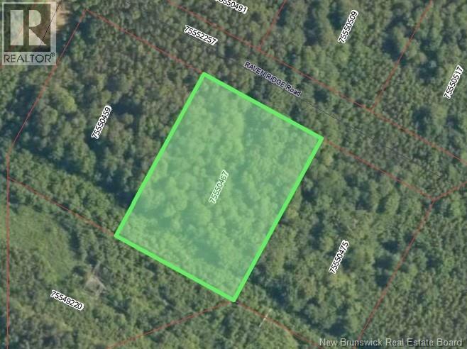 Lot Raven Ridge Road, Central Hainesville, New Brunswick  E6E 1E3 - Photo 3 - NB131508