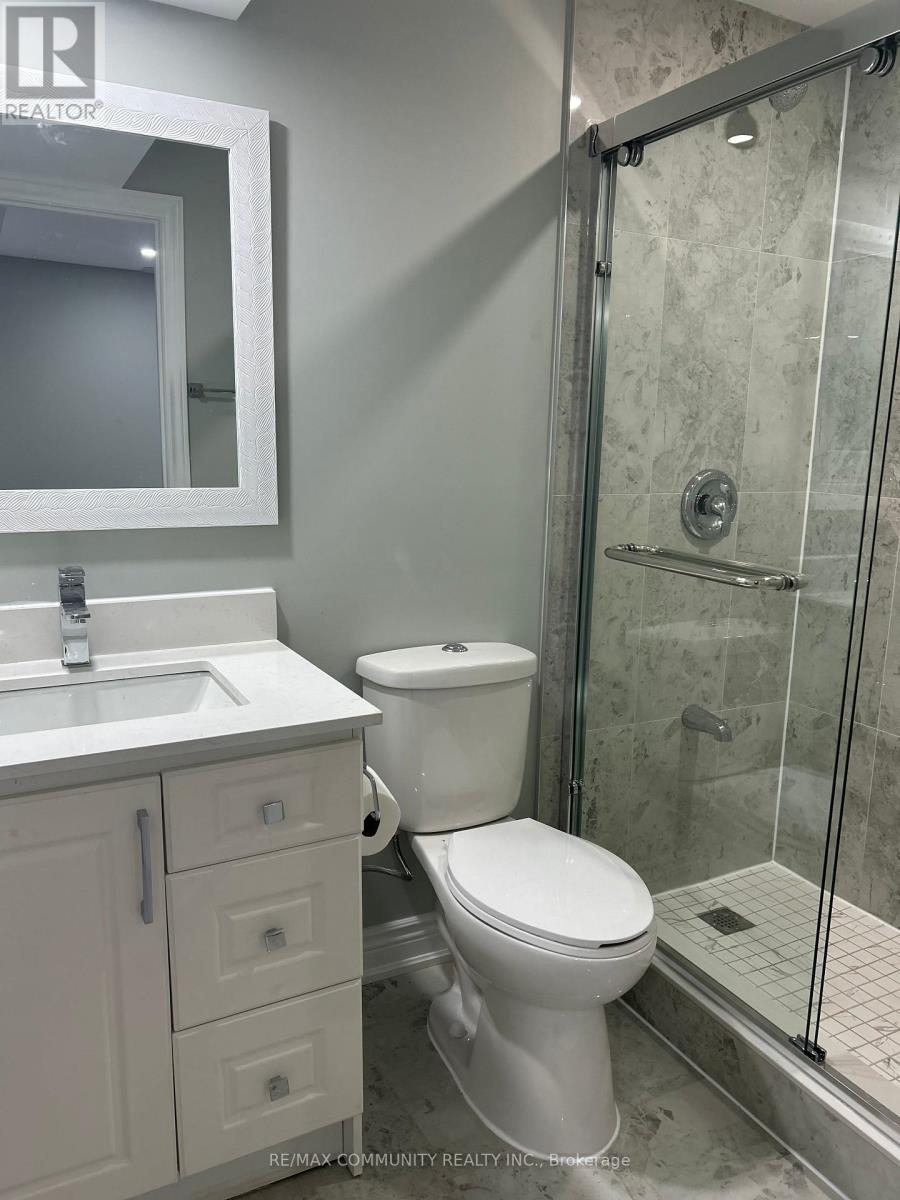 Basement - 70 Rosewell Crescent, Halton Hills, Ontario  L7G 0N4 - Photo 7 - W12665290