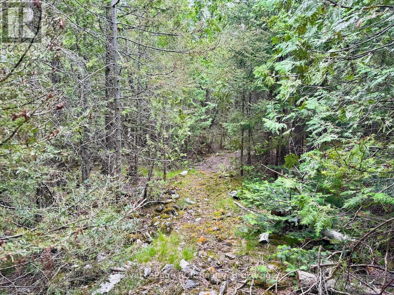 104 Little Pine Drive, Northern Bruce Peninsula, Ontario  N0H 1W0 - Photo 28 - X12664618