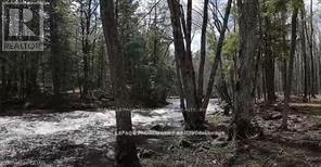 Lot 4 Future Lane, Stirling-Rawdon, Ontario  K0K 2M0 - Photo 3 - X12665492