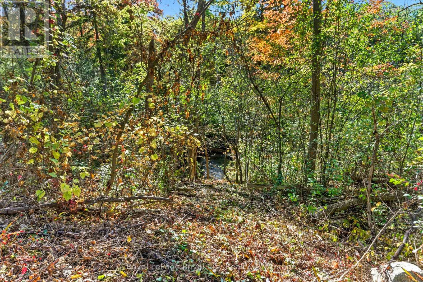 66 Old Mill Road, Cambridge, Ontario  N3H 4R8 - Photo 41 - X12665644