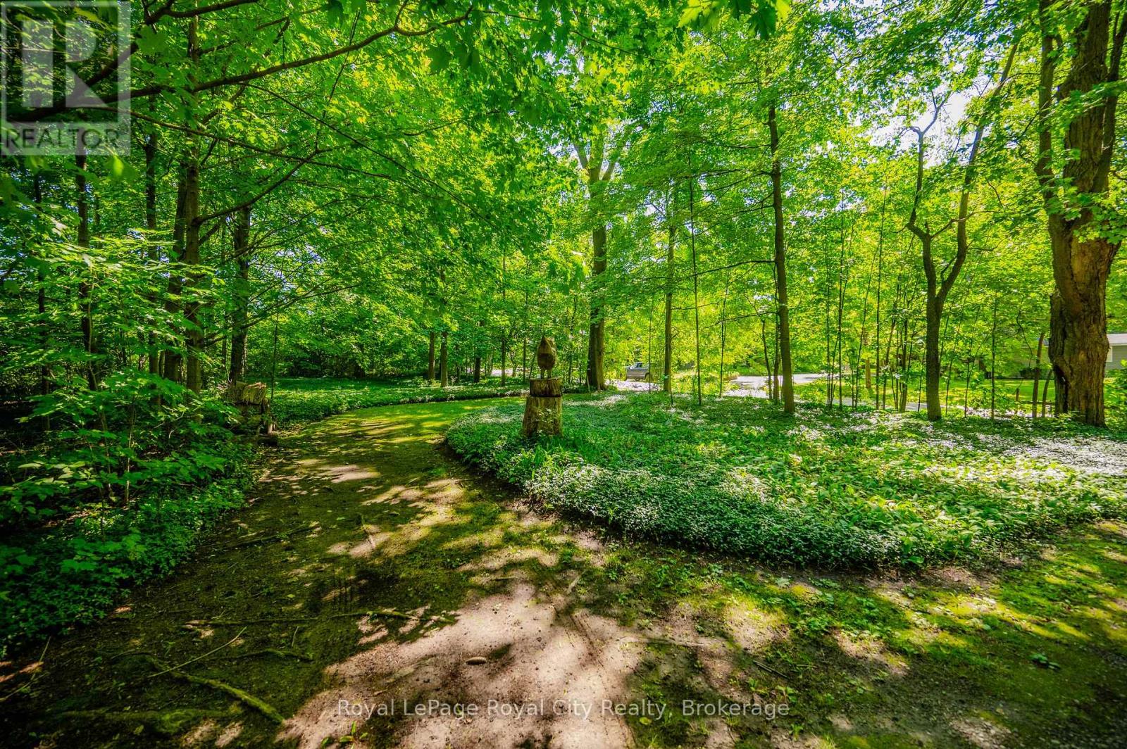 66 Old Mill Road, Cambridge, Ontario  N3H 4R8 - Photo 42 - X12665644