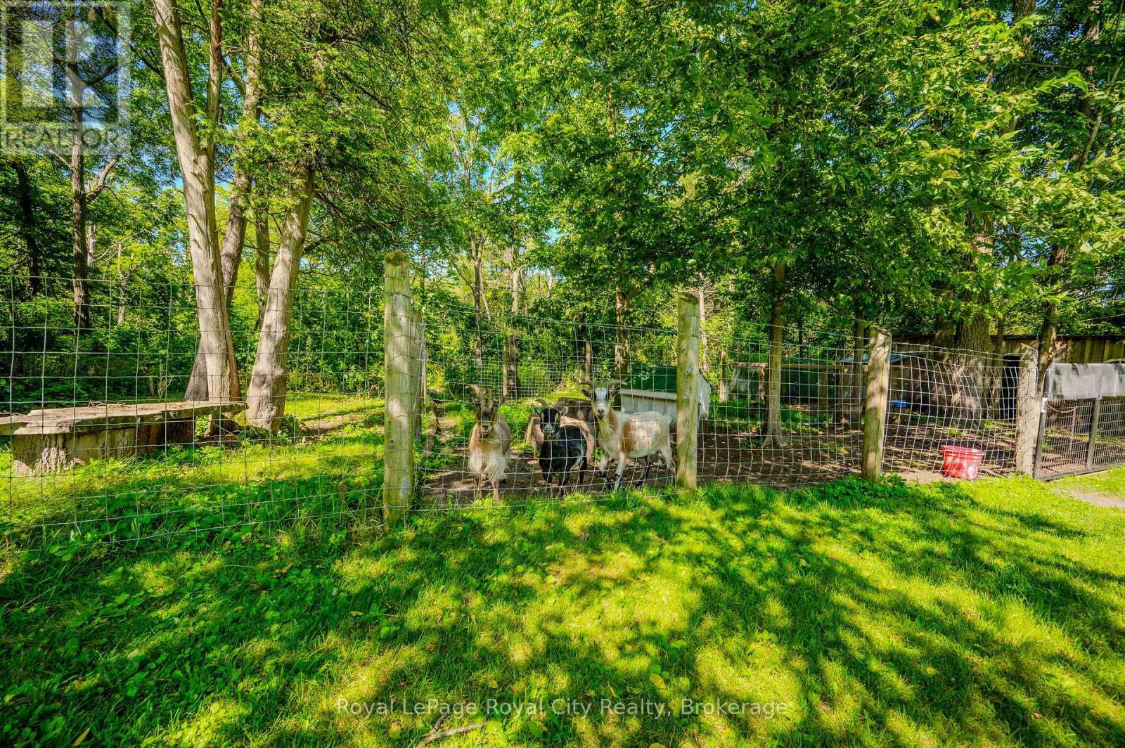 66 Old Mill Road, Cambridge, Ontario  N3H 4R8 - Photo 44 - X12665644