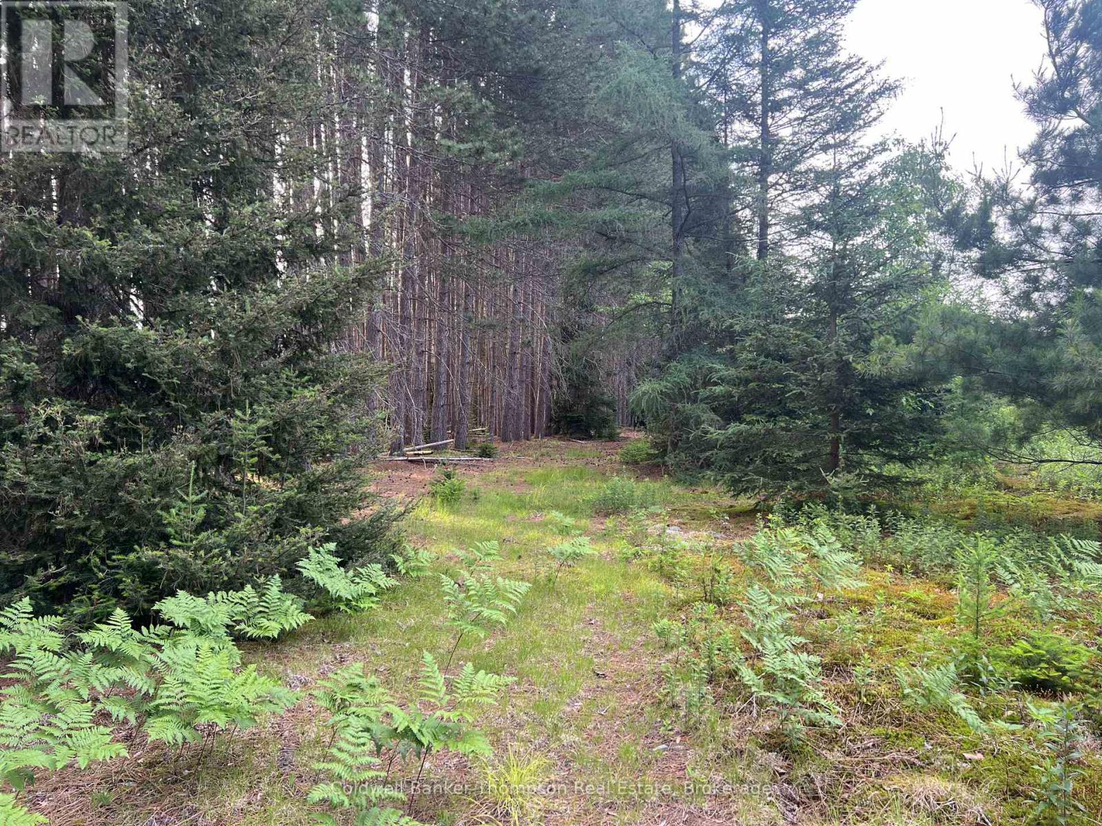 1152 Forest Lake Road, Joly, Ontario  P0A 1Z0 - Photo 7 - X12665660