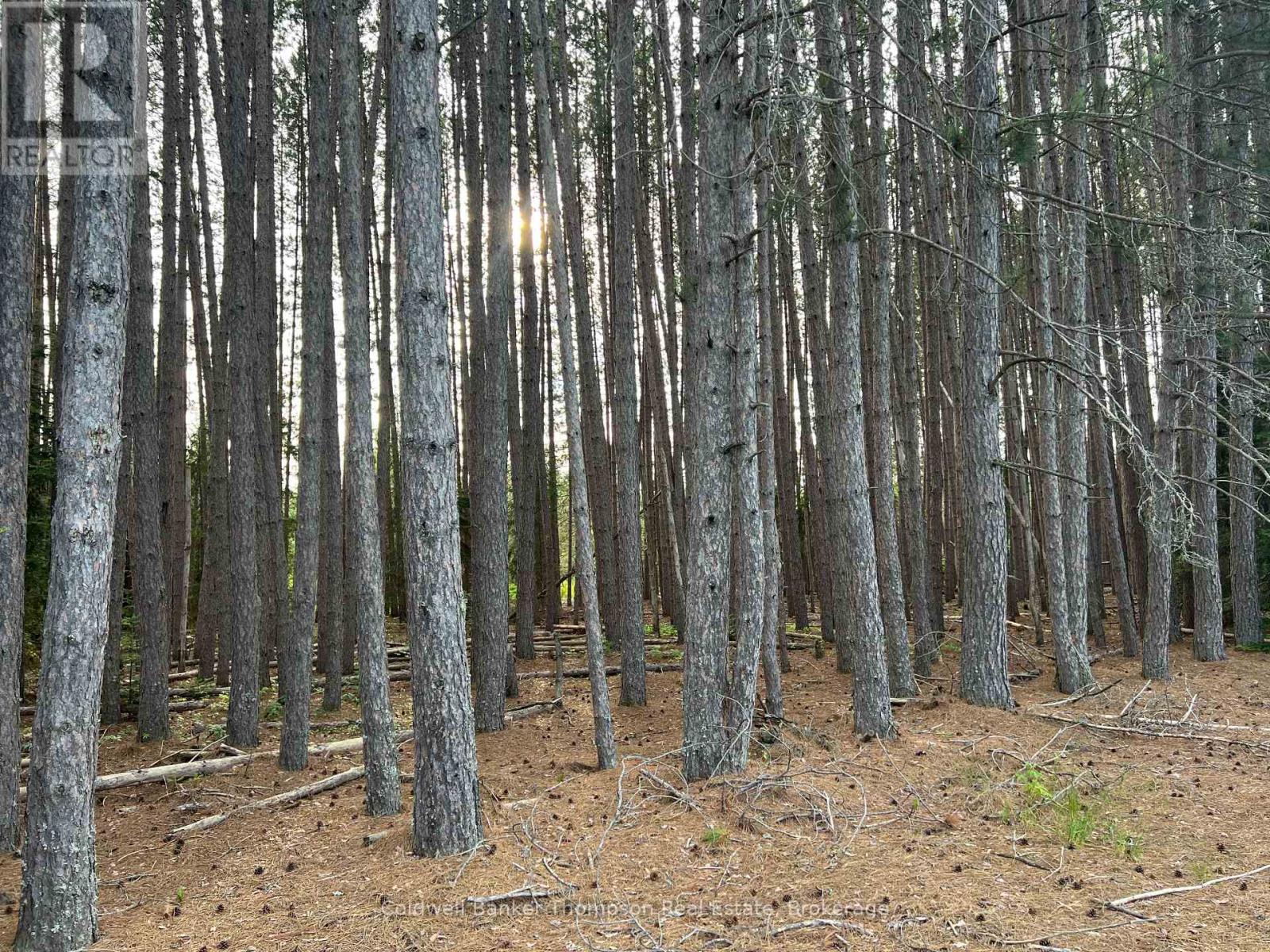 1152 Forest Lake Road, Joly, Ontario  P0A 1Z0 - Photo 9 - X12665660