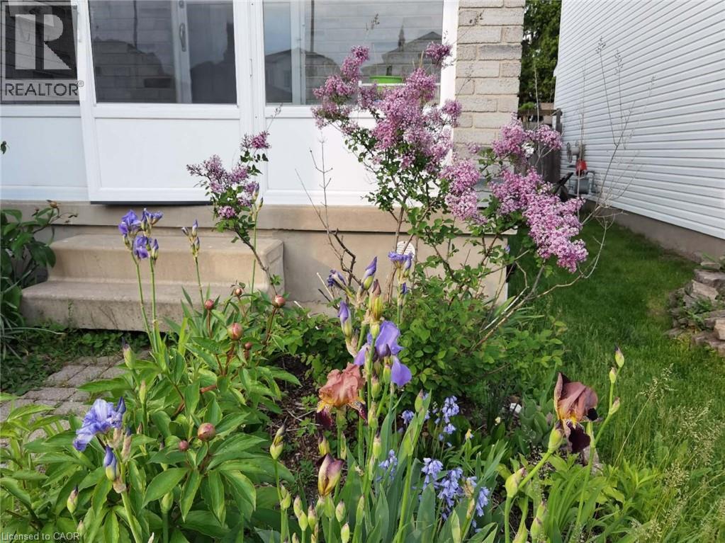 109 Beechmanor Crescent, Kitchener, Ontario  N2N 3H5 - Photo 42 - 40796244