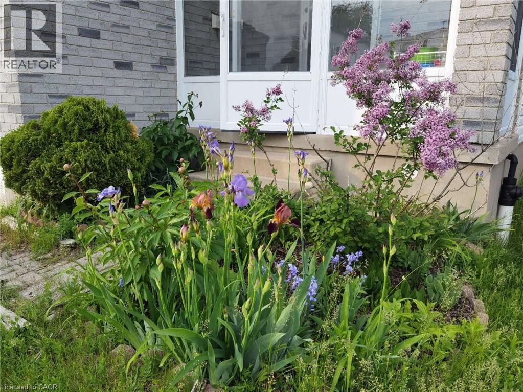 109 Beechmanor Crescent, Kitchener, Ontario  N2N 3H5 - Photo 43 - 40796244