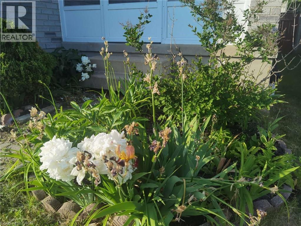 109 Beechmanor Crescent, Kitchener, Ontario  N2N 3H5 - Photo 44 - 40796244