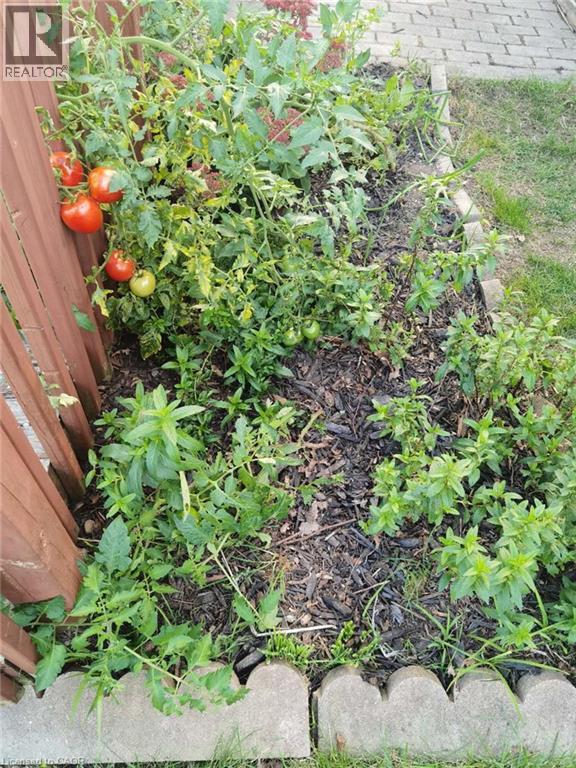 109 Beechmanor Crescent, Kitchener, Ontario  N2N 3H5 - Photo 45 - 40796244