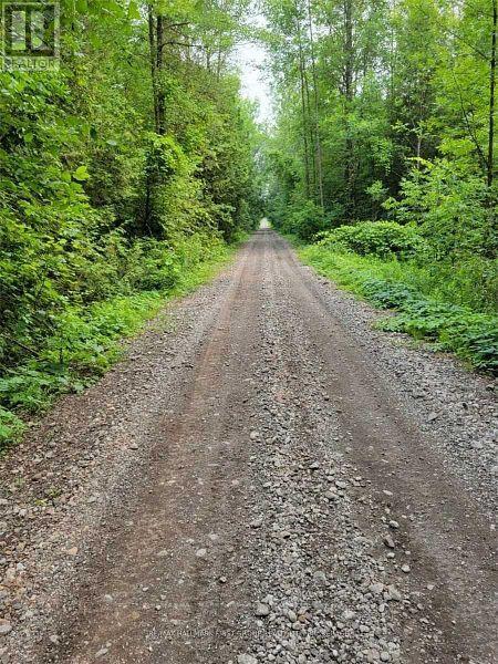 8 St. Marks Road, Stirling-Rawdon (Rawdon Ward), Ontario  K0K 2M0 - Photo 13 - X12665330