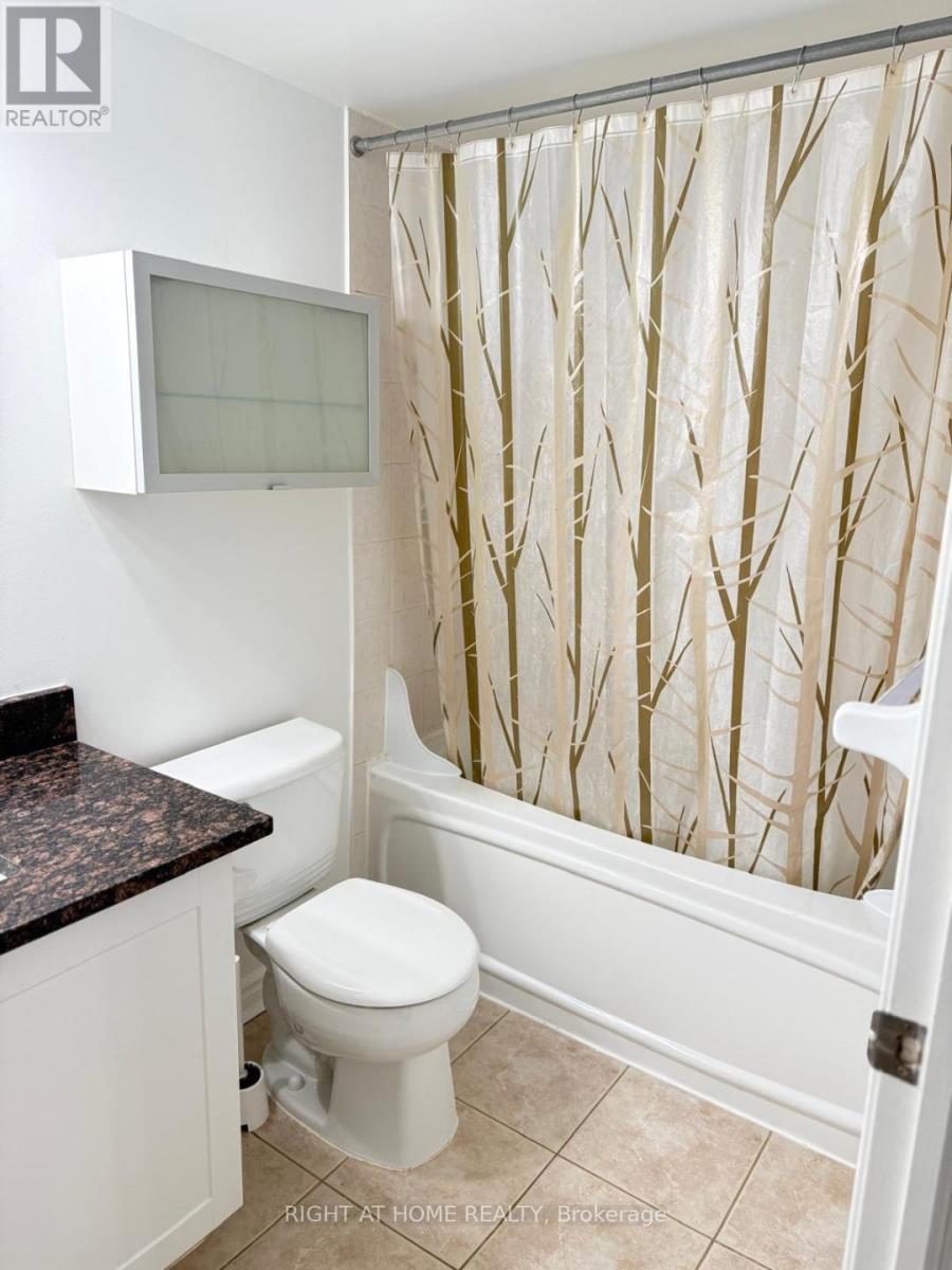 1803 - 4090 Living Arts Drive, Mississauga, Ontario  L5B 4M8 - Photo 11 - W12665488