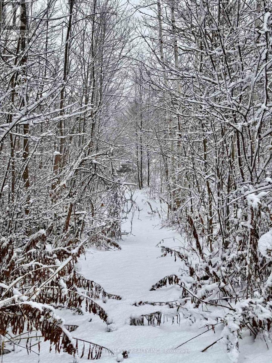 152b Wannamaker Road, Centre Hastings, Ontario  K0K 3E0 - Photo 40 - X12665348