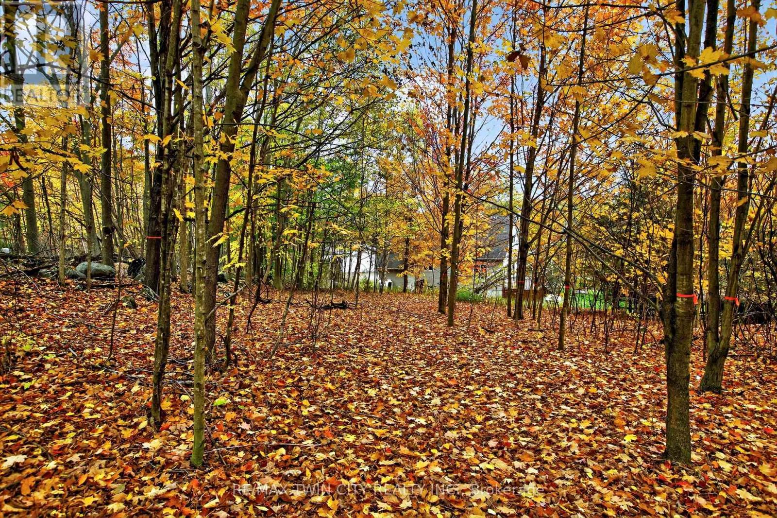 152b Wannamaker Road, Centre Hastings, Ontario  K0K 3E0 - Photo 42 - X12665348