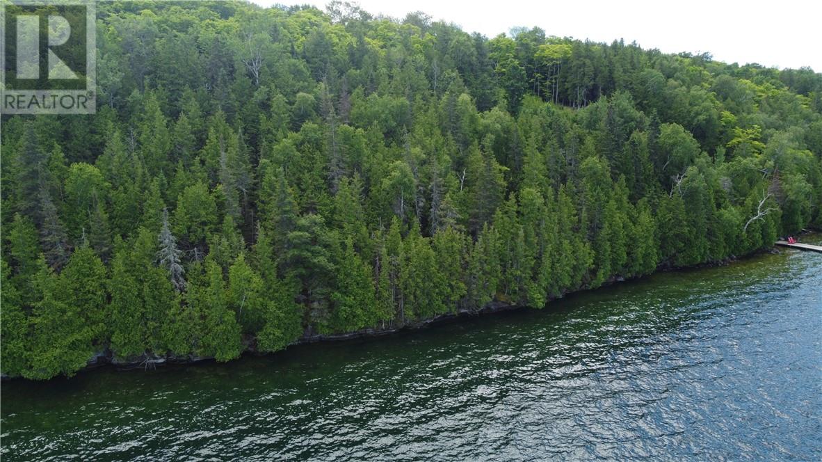 1580 Perivale, Mindemoya, Ontario  P0P 2B0 - Photo 12 - 2126006