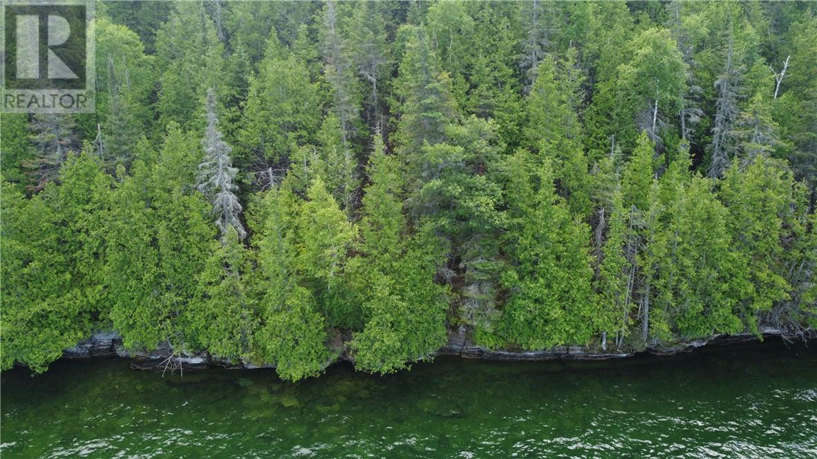 1580 Perivale, Mindemoya, Ontario  P0P 2B0 - Photo 15 - 2126006