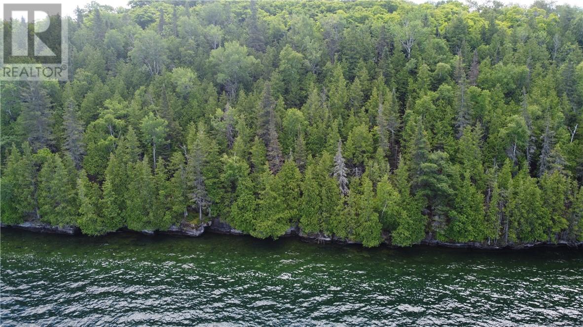 1580 Perivale, Mindemoya, Ontario  P0P 2B0 - Photo 2 - 2126006