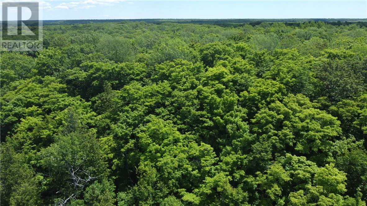 1580 Perivale, Mindemoya, Ontario  P0P 2B0 - Photo 23 - 2126006