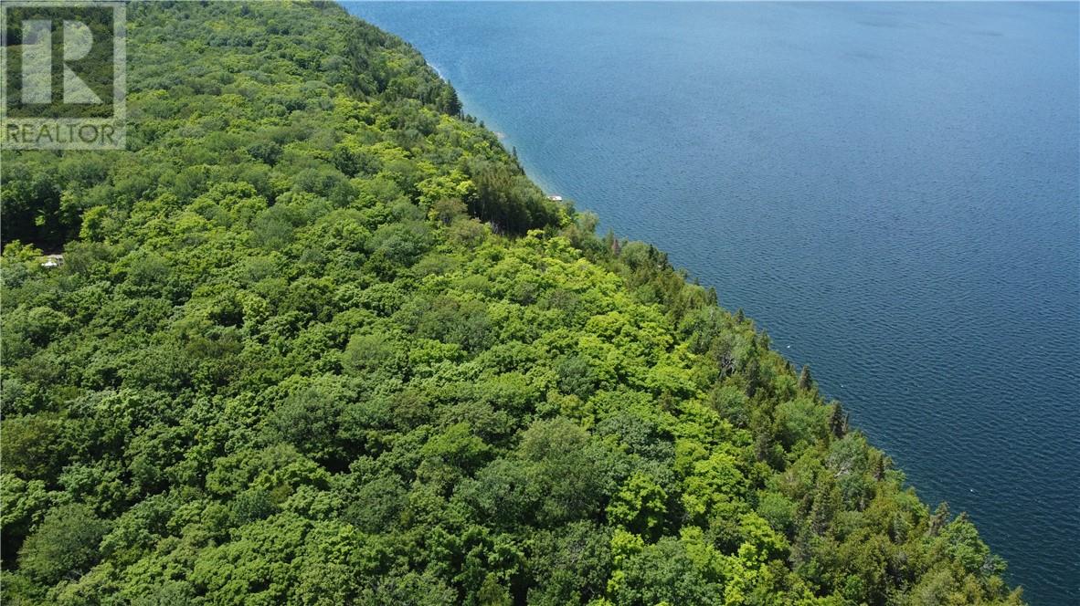 1580 Perivale, Mindemoya, Ontario  P0P 2B0 - Photo 25 - 2126006