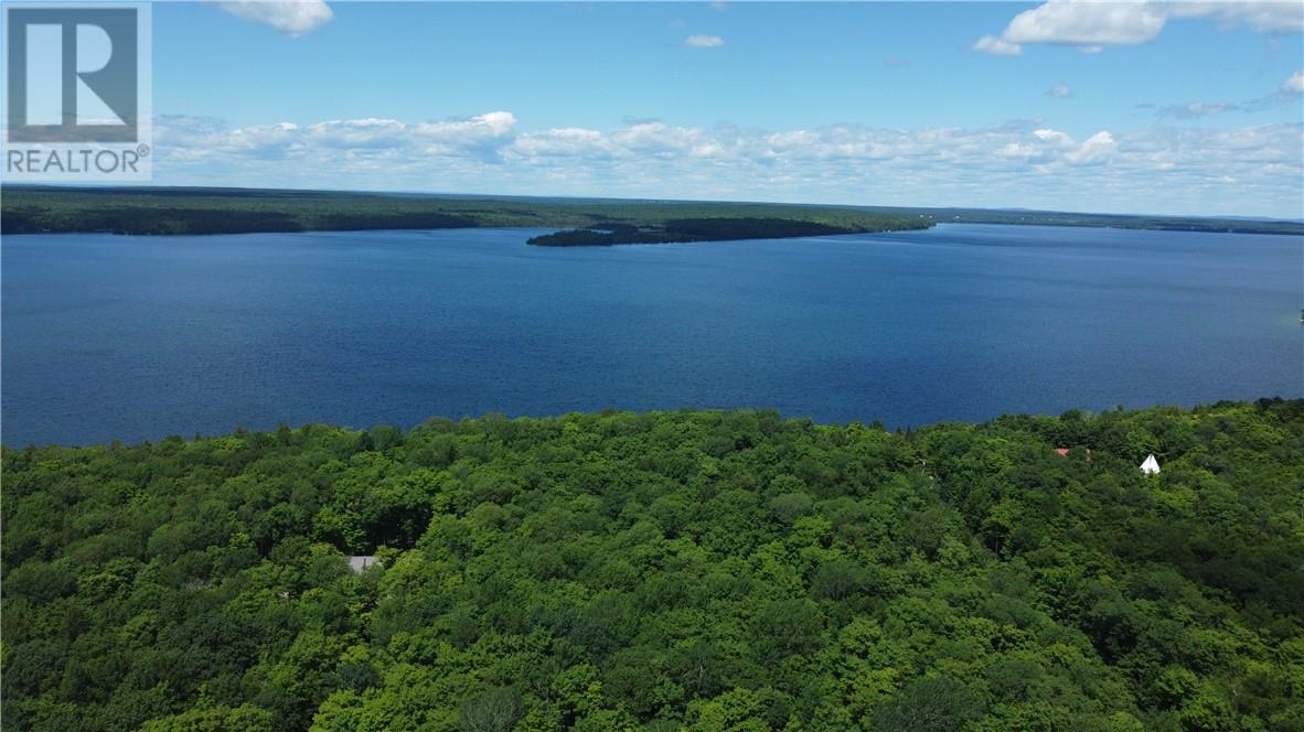 1580 Perivale, Mindemoya, Ontario  P0P 2B0 - Photo 4 - 2126006