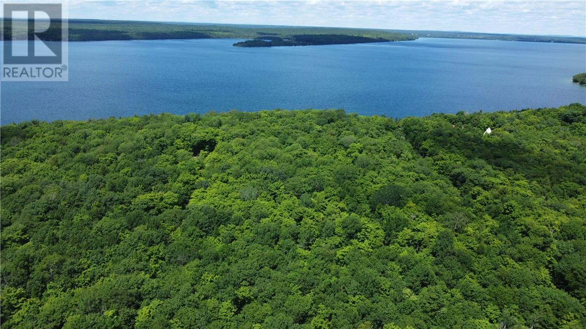 1580 Perivale, Mindemoya, Ontario  P0P 2B0 - Photo 9 - 2126006