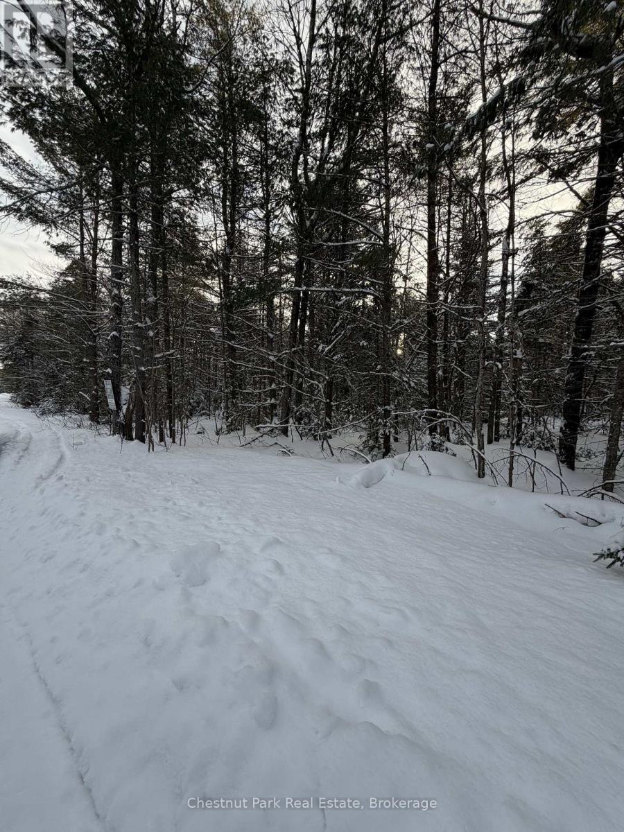 1839 Bear Cave Road, Muskoka Lakes, Ontario P0B 1G0 - Photo 10 - X12650404