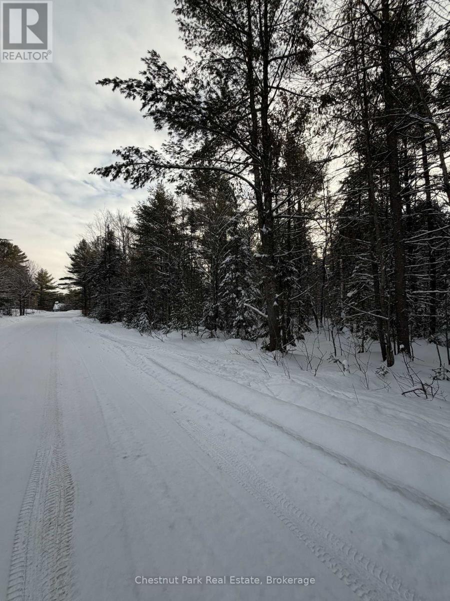1839 Bear Cave Road, Muskoka Lakes, Ontario P0B 1G0 - Photo 12 - X12650404