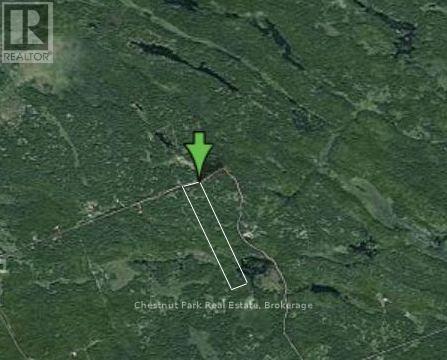 1839 Bear Cave Road, Muskoka Lakes, Ontario P0B 1G0 - Photo 4 - X12650404