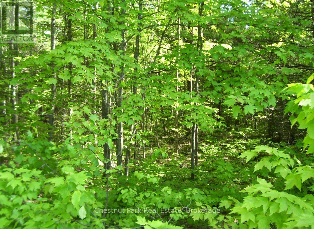 1839 Bear Cave Road, Muskoka Lakes, Ontario P0B 1G0 - Photo 6 - X12650404