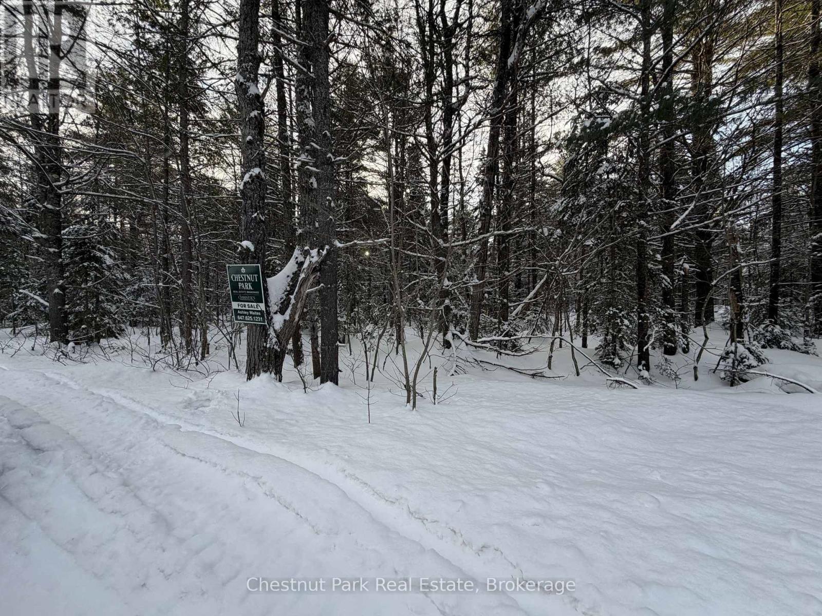 1839 Bear Cave Road, Muskoka Lakes, Ontario P0B 1G0 - Photo 9 - X12650404