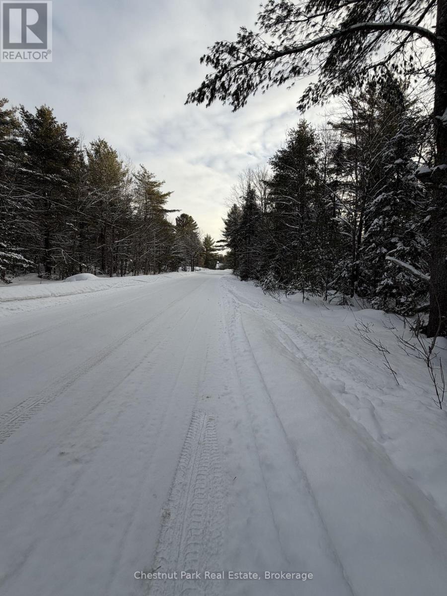 1839 Bear Cave Road, Muskoka Lakes, Ontario P0B 1G0 - Photo 13 - X12650404