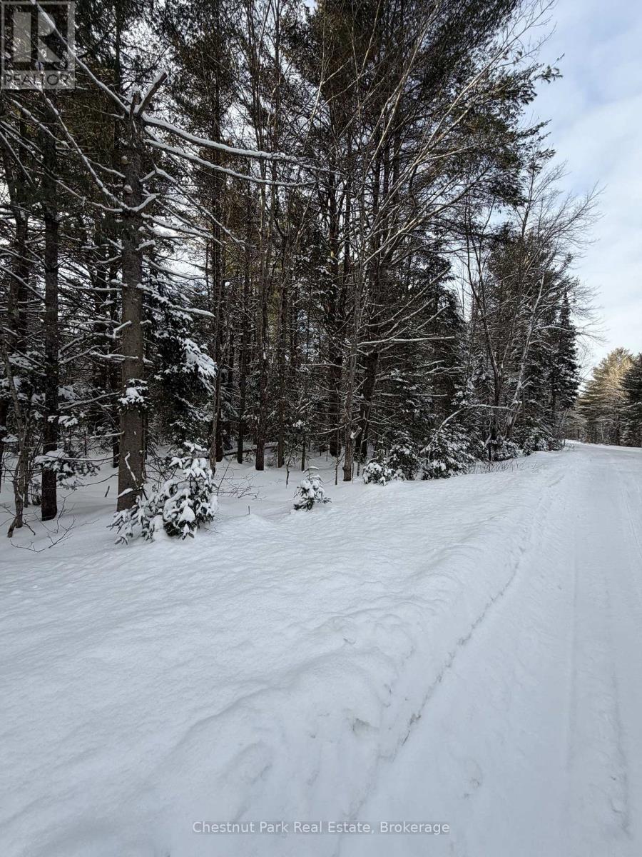 1839 Bear Cave Road, Muskoka Lakes, Ontario P0B 1G0 - Photo 11 - X12650404