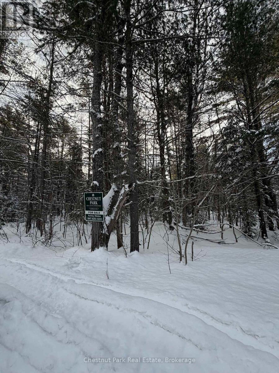 1839 Bear Cave Road, Muskoka Lakes, Ontario P0B 1G0 - Photo 1 - X12650404