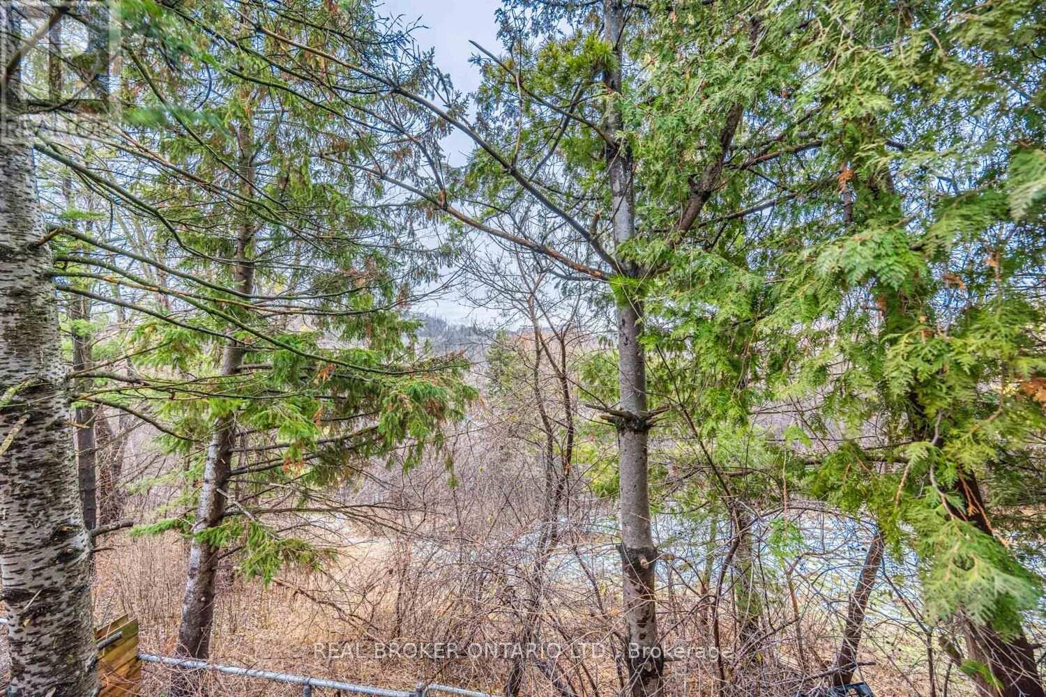 109 Robert Hicks Drive, Toronto, Ontario  M2R 3R2 - Photo 29 - C12665812