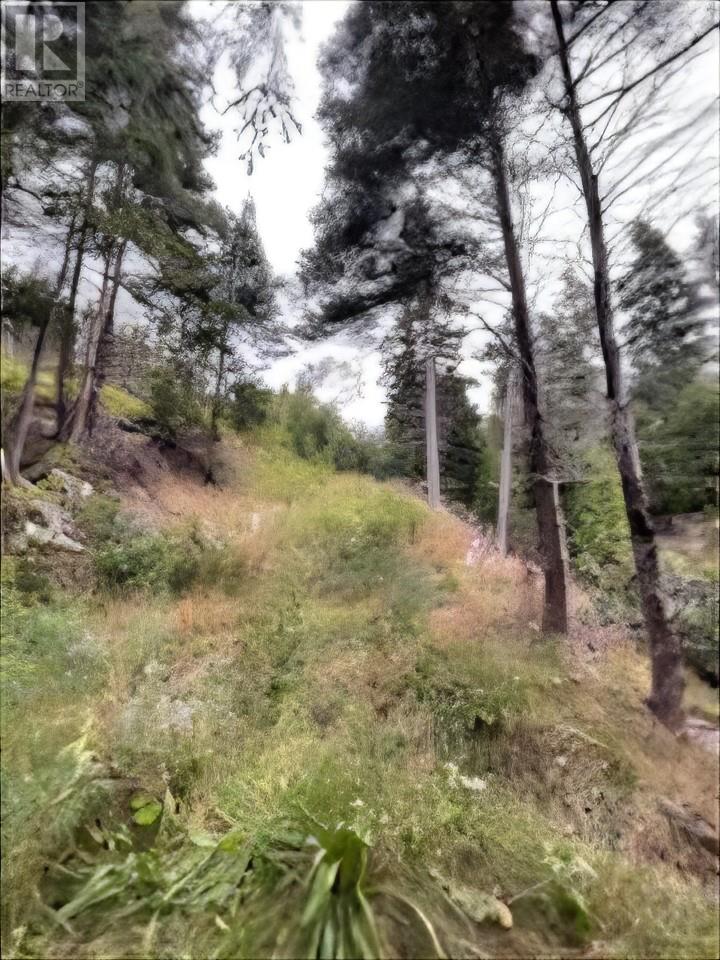 5 Brake Heights, Summerside, Newfoundland & Labrador  A2H 2T6 - Photo 14 - 1293485