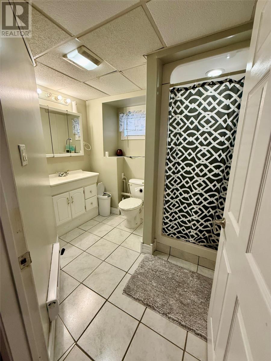 1 Circular Road Extension, Deer Lake, Newfoundland & Labrador  A8A 2V6 - Photo 25 - 1293463